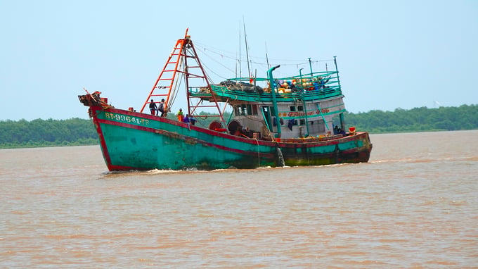 Tất Cả Các Tàu Cá Ra Khơi Đều Được Gắn Thiết Bị Giám Sát Hành Trình. Ảnh: Kiều Nhi.