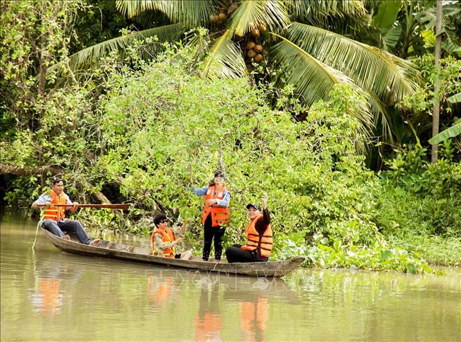 Du Khách Hái Trái Bần Trên Sông. Ảnh: Hồng Đạt/Ttxvn