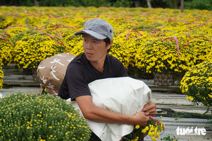 Năm Nay, Người Trồng Hoa Nở Tại Làng Hoa Cái Mơn, Huyện Chợ Lách, Tỉnh Bến Tre Cho Biết Tiêu Thụ Chậm